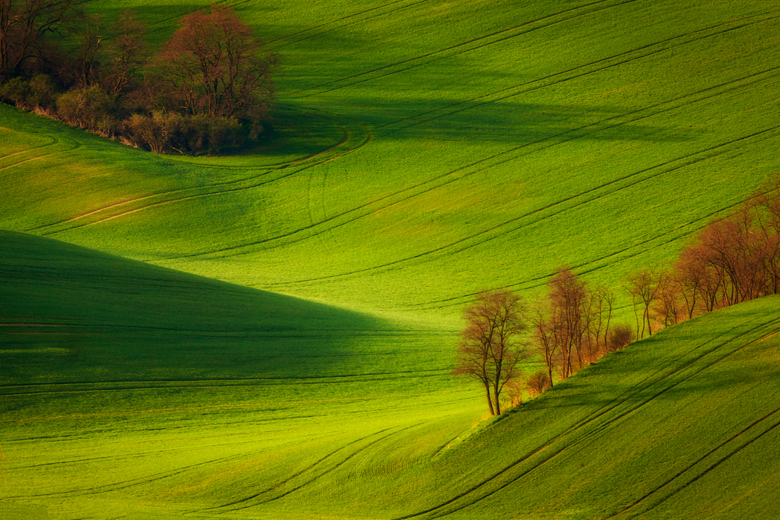 Pawel Uchorczak - Green waves, Šardice, Moravian Tuscany