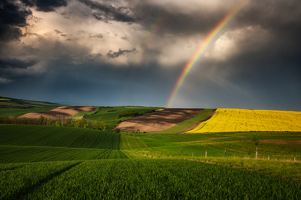 Pawel Uchorczak - Rainbow above Moravian fields, Šardice, Moravian Tuscany