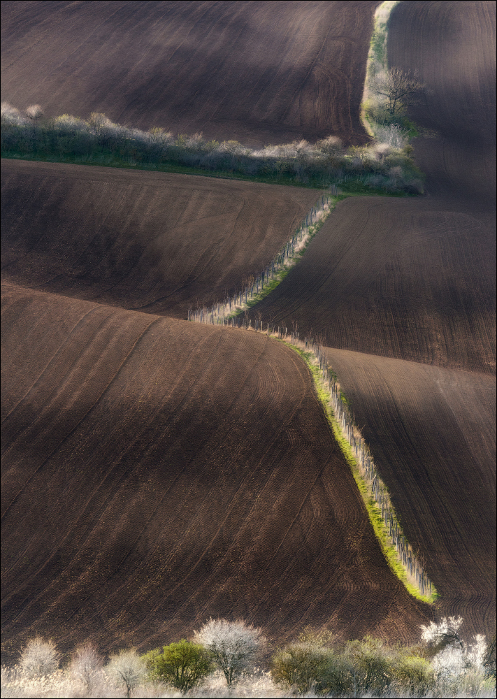 Vlad Sokolovsky - Spring lines, Násedlovice, Moravian Tuscany