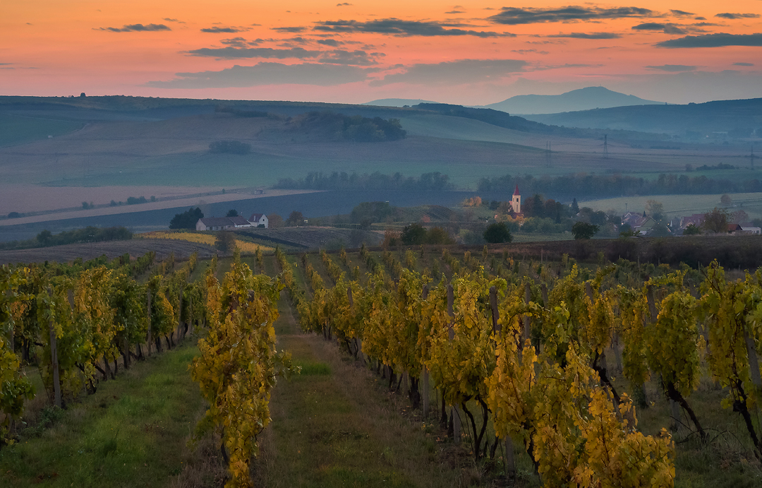 Aleš Komovec - Autumn mood, Terezín, Moravian Tuscany