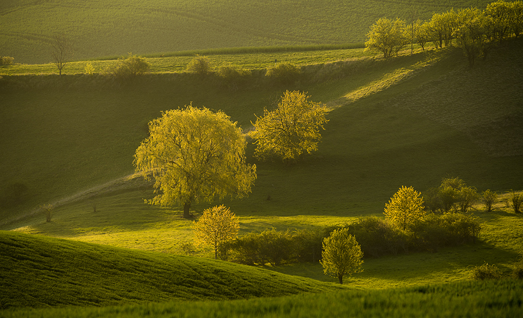 Emil Čelustka - Spring on the Meadows, Hovorany, Moravian Tuscany