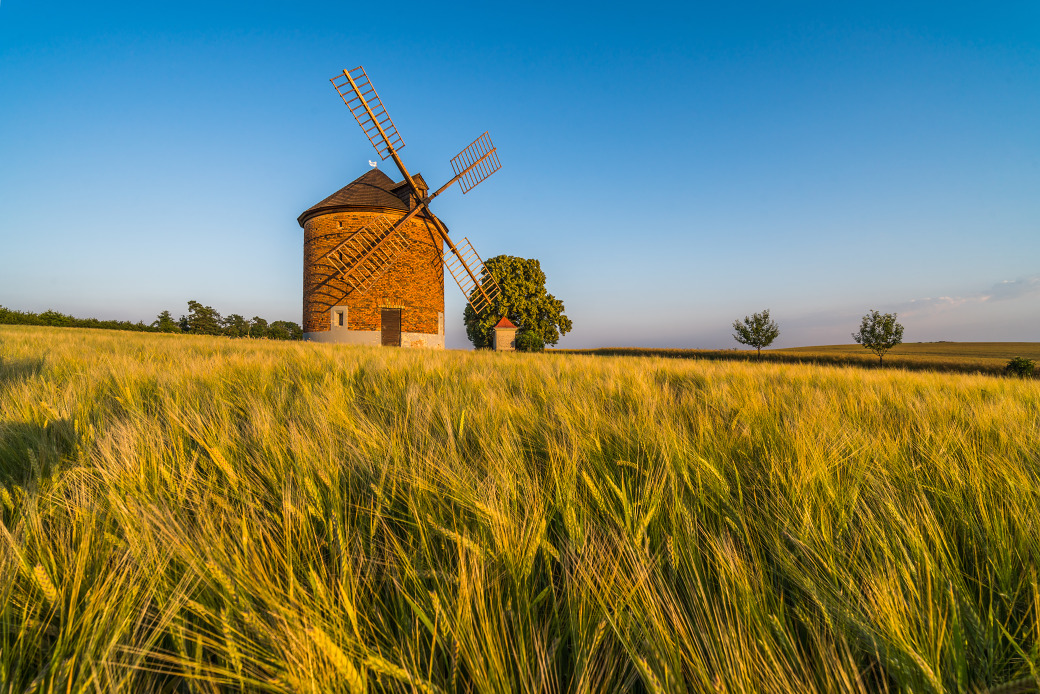 Marek Svoboda - Summer windmill, Chvalkovice, Moravian Tuscany